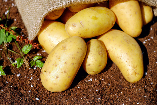 aardappelpuree recept