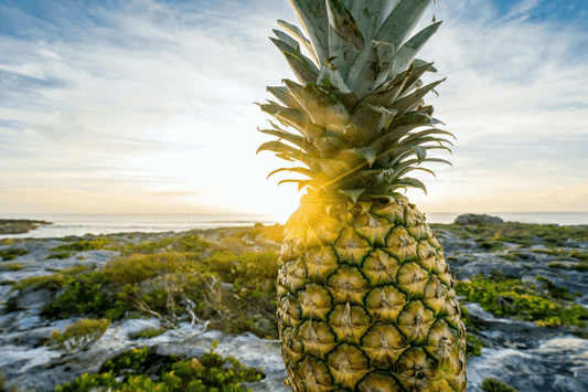 verse ananas aan de kust
